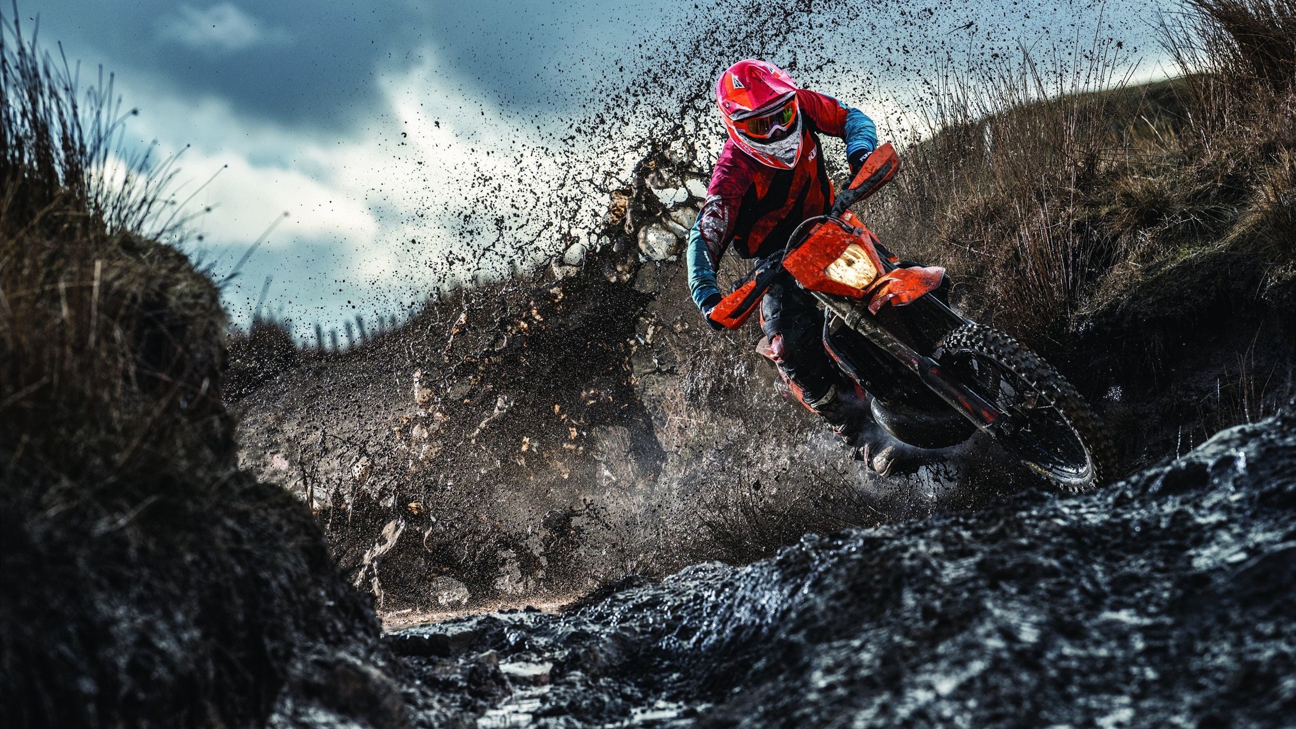 纽约的钢铁意志与孟菲斯的华丽风暴,尼克斯鏖战破局,莫兰特惊艳定义新时代