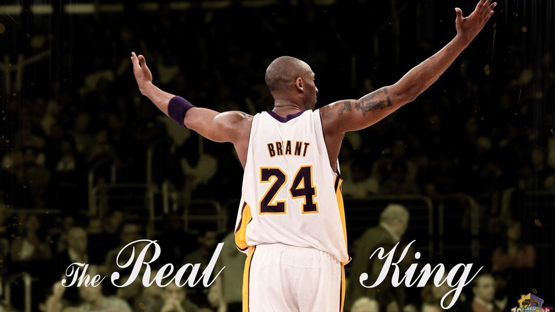 跨界传奇，从瑞典淘汰赛到NBA总决赛，莱奥的双重征服